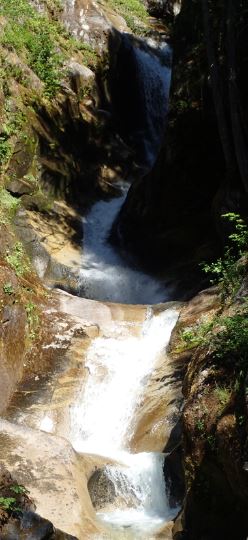 File:Thornton Creek-20150707045400 pic.jpg