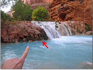Havasu Beaver Blue Room 1.png
