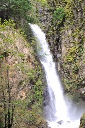 Warren Creek-20151122182624 pic.jpg