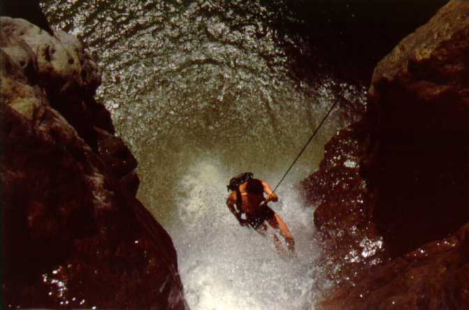 VLB-1995.jpg