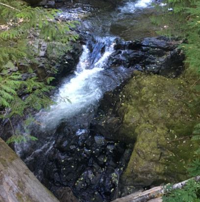 Big Creek (South Cascades)-20170919180920 pic.jpg
