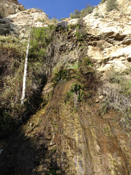 Vogel Canyon R5.jpg