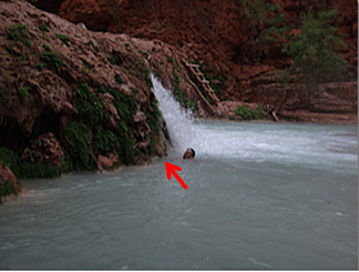 Havasu Beaver Blue Room 2.png