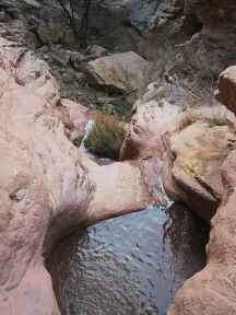 Box Canyon (Dinosaur) Banner.jpg