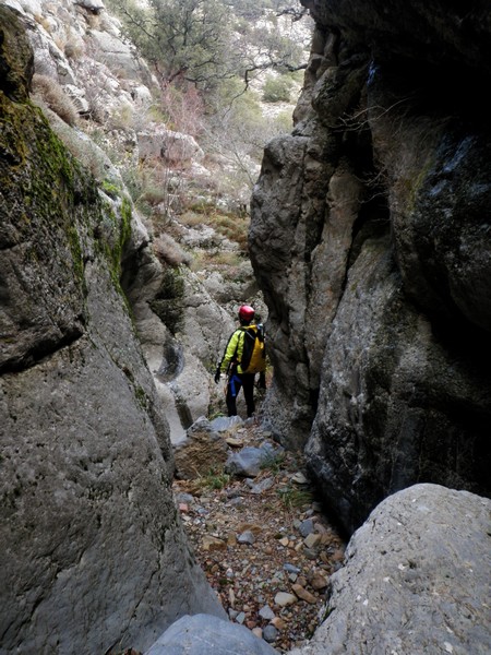 File:Atalaya Banner.jpg