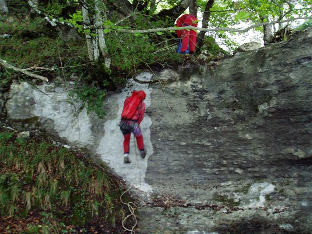 File:Saltococino Banner.jpg