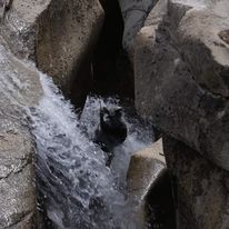 Lincoln Creek Falls Banner.jpg