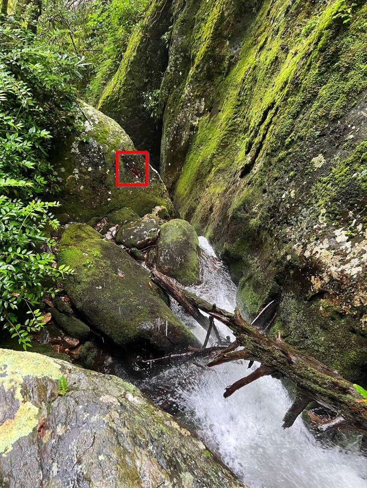 FileLedbetter Creek R1 Anchor 1.jpg ropewiki