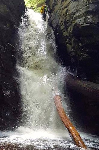 Cypress Creek-20160708050904 pic.jpg