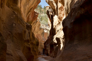 Willis Creek Narrows Banner.jpg