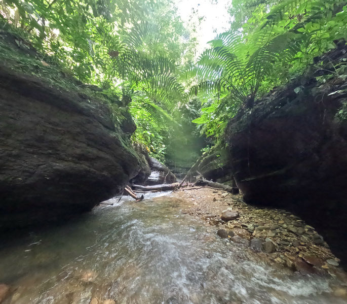 File:Guanapo Gorge Canyon slottingup.jpg