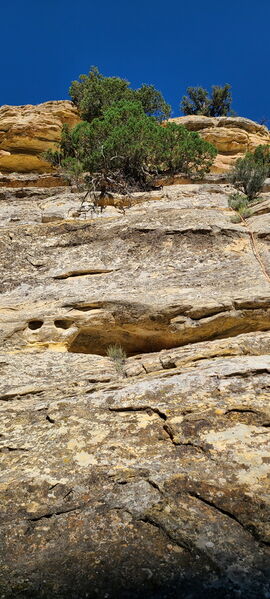 File:Carcass Canyon (Dinosaur) pic21.jpg