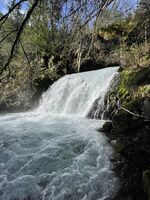 Rock Creek (Olympic Peninsula)-20260329023642 pic.jpg