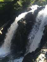 Snoqualmie River (South Fork)-20150607182938 pic.jpg