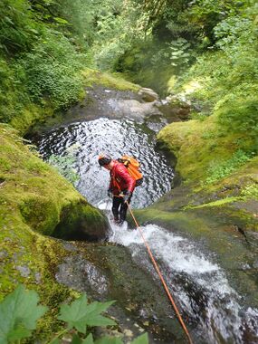 Cougar Creek NE Banner.jpg
