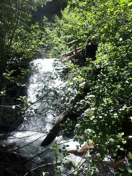 File:Lean Creek pic07.jpg