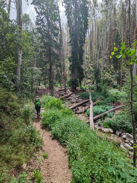 File:Pleiades Canyon pic1.jpg