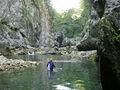 Thumbnail for version as of 05:14, 1 September 2024