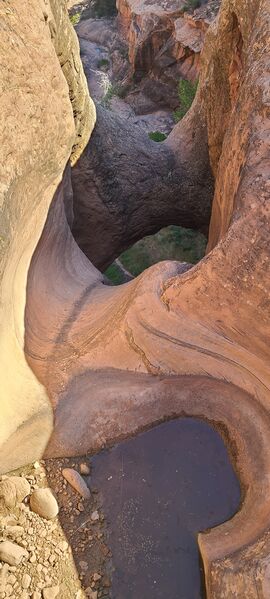 File:Horse Collar Canyon pic002.jpg