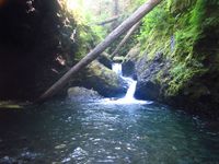 LeBar Creek-20200722053234 pic.jpg