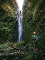 PCT Creek-20240602223236 pic.jpg