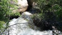 Salmon Creek (Lower)-20170515135103 pic.jpg