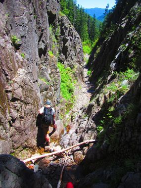 Stack Creek (East) Banner.jpg