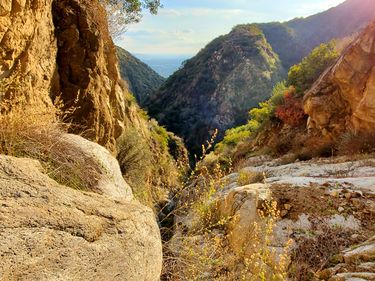 Tiny Santa Anita Canyon Banner.jpg