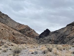 Wash at top of Undertaker Canyon AbbyWines.jpg