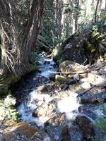 Kendall Gulch-20250713183529 pic.jpg