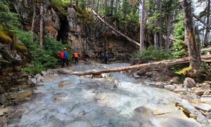 Lake Fork (Upper) pic032.jpg