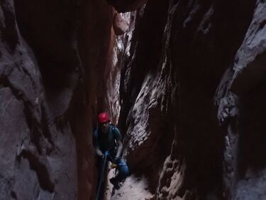 BST Canyon Banner.jpg