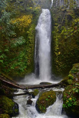 Gorton Creek-20201206203739 pic.jpg