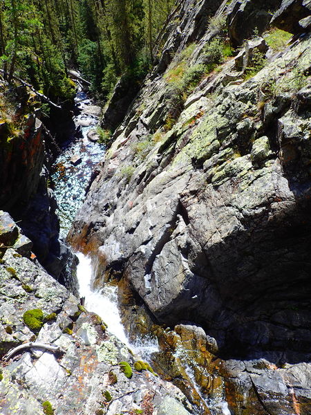 File:Grasshopper Creek Grasshopper Ira064.jpg