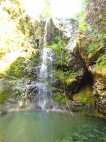 Sardine Creek-20170530043848 pic.jpg