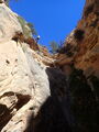 Thumbnail for version as of 13:01, 2 October 2023