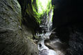 Thumbnail for version as of 01:07, 12 December 2022