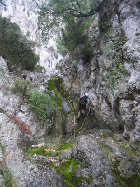 File:Clot Roca Banner.jpg