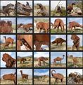 Thumbnail for version as of 16:42, 13 May 2014