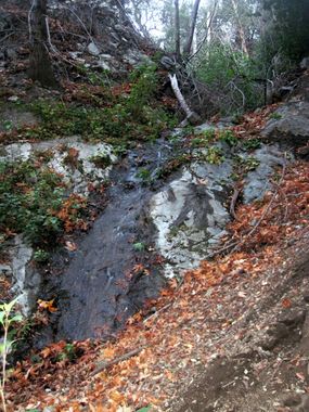 Pipe Canyon Banner.jpg