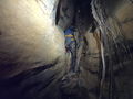 Thumbnail for version as of 20:54, 19 April 2020