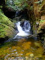 Thumbnail for version as of 06:20, 28 October 2020