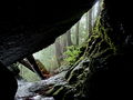 Thumbnail for version as of 06:29, 28 October 2020