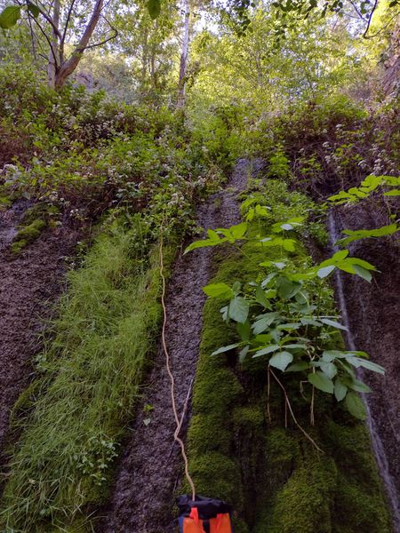 File:Snakeroot Ditch snakerook r2.jpg