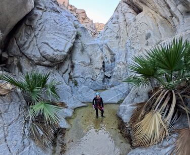 Cougar Canyon (Anza Borrego Desert) Banner.jpg