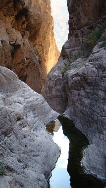 Micro Canyon Banner.jpg