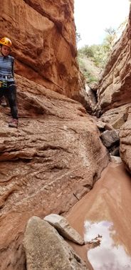 Morning Star Canyon Banner.jpg