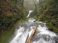 Woodward Creek-20170518202925 pic.jpg