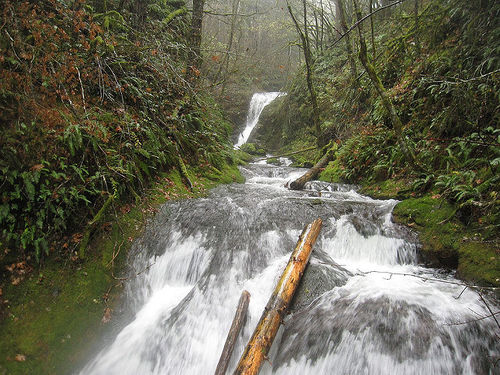 Woodward Creek-20170518202925 pic.jpg