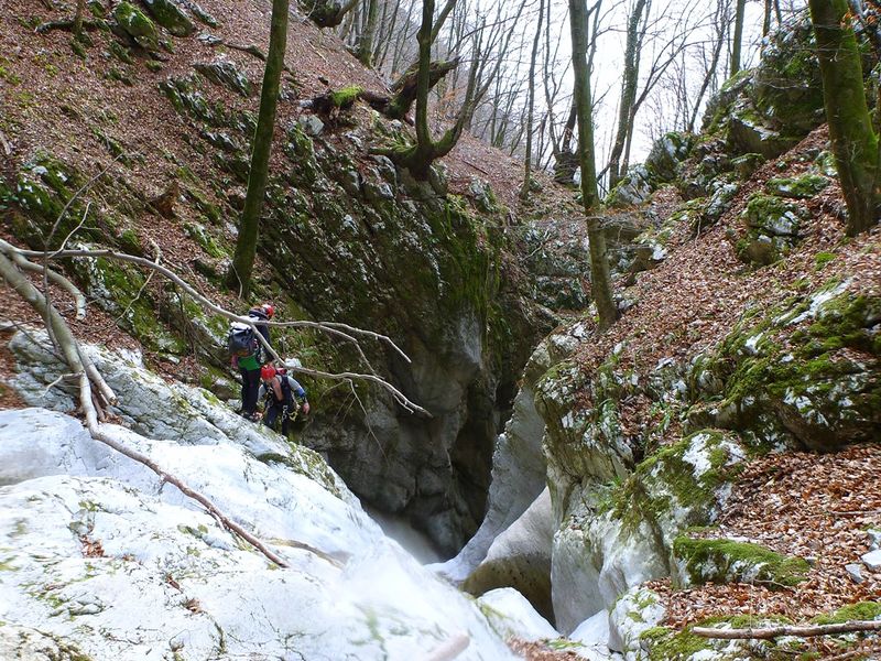 File:Godica3.jpg